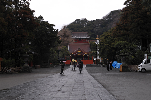 202 14 DSC_6485.jpg